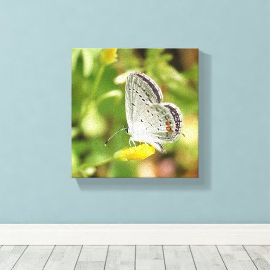 Toile Petite papillon (Insitu (Plancher de Bois))