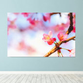Toile Petites Beautés Roses de Sakura au Printemps (Insitu (Plancher de Bois))