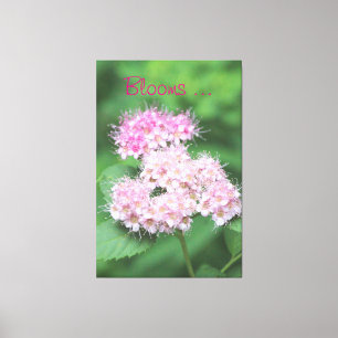 Toile Petites fleurs roses