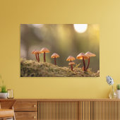 Toile Petits champignons Photo nature (Insitu(Salon))