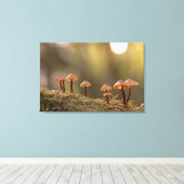 Toile Petits champignons Photo nature (Insitu (Plancher de Bois))