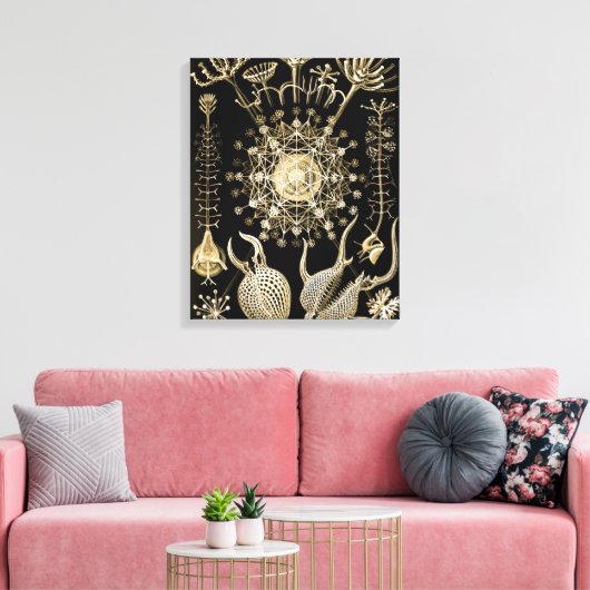 Toile Phaeodaria | 61 Or | Ernst Haeckel | (Insitu(Salon))