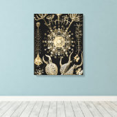 Toile Phaeodaria | 61 Or | Ernst Haeckel | (Insitu (Plancher de Bois))