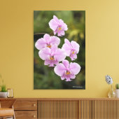 Toile Phalaenopsis Schilleriana (Insitu(Salon))