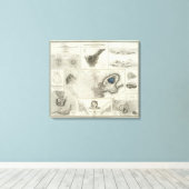 Toile Phénomène géologique (Insitu (Plancher de Bois))