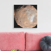 Toile Phobos de la lune de Mars (Insitu(Salon))