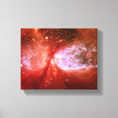 Toile Phoenix (Recto)