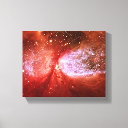 Toile Phoenix (Recto)