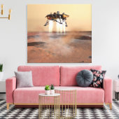 Toile Phoenix Mars Lander (Insitu(Salon))