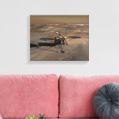 Toile Phoenix Mars Lander 2 (Insitu(Salon))