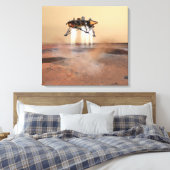 Toile Phoenix Mars Lander 2 (Insitu(Chambre))