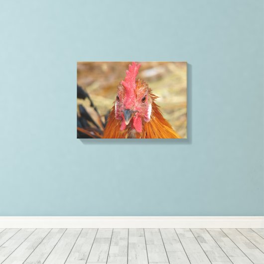 Toile Phoenix Rooster (Insitu (Plancher de Bois))