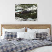 Toile Phoque de Harbour éclairé par le coucher de soleil (Insitu(Chambre))