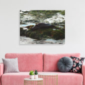 Toile Phoque de Harbour éclairé par le coucher de soleil (Insitu(Salon))