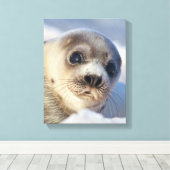 Toile Phoque de la jeune harpe (Insitu (Plancher de Bois))