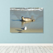 Toile Phoque du port à La Jolla en Californie (Insitu (Plancher de Bois))