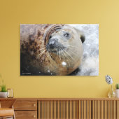 Toile Phoque gris sur glace (Insitu(Salon))