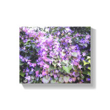 Toile photo à fleurs mauves