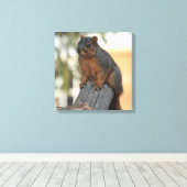 Toile Photo adorable d'écureuil (Insitu (Plancher de Bois))