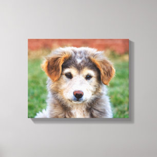 Toile Photo adorable mignonne de chiot