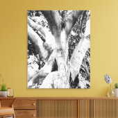 Toile Photo Arbre - Arbre noir et blanc Monochrome épais (Insitu(Salon))