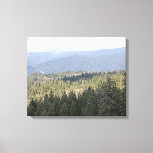 Toile photo de California Pine Trees (Recto)