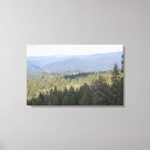 Toile photo de California Pine Trees