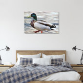 Toile Photo de canard colvert (Insitu(Chambre))