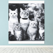 Toile Photo de chat noir et blanc (Insitu (Plancher de Bois))