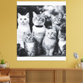 Toile Photo de chat noir et blanc (Insitu(Salon))