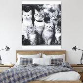 Toile Photo de chat noir et blanc (Insitu(Chambre))