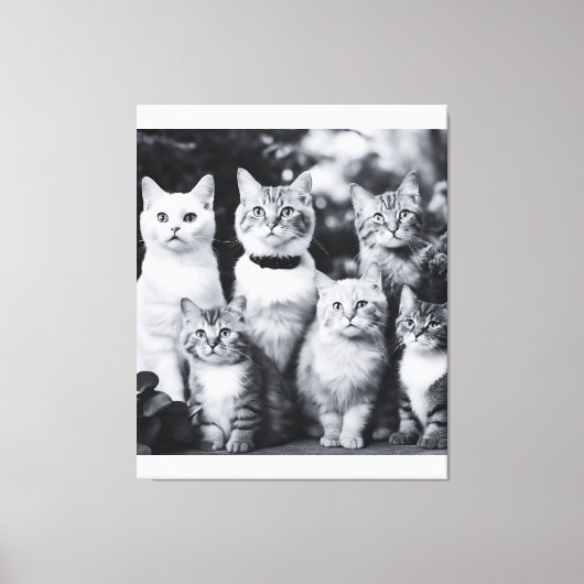 Toile Photo de chat noir et blanc (Recto)