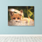 Toile Photo de Cute Little Orange Fox (Insitu (Plancher de Bois))