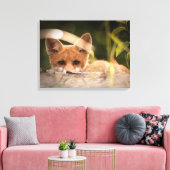 Toile Photo de Cute Little Orange Fox (Insitu(Salon))
