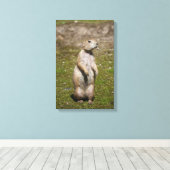 Toile Photo de faune de chien de prairie à queue noire (Insitu (Plancher de Bois))
