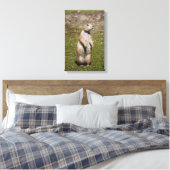 Toile Photo de faune de chien de prairie à queue noire (Insitu(Chambre))