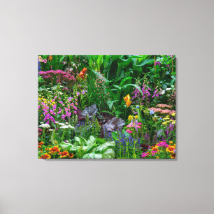 Toile Photo de fleurs d'été dans un jardin de cottage an