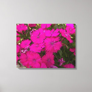 Toile Photo de Fleurs roses brillantes