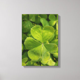 Toile photo de Four Leaf Clocher Wall Art