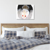 Toile Photo de hamster albinos blanc et blonde (Insitu(Chambre))
