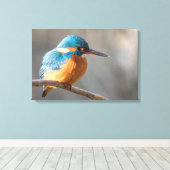 Toile Photo de la nature de Kingfisher (Insitu (Plancher de Bois))
