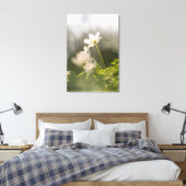 Toile Photo de la nature de l'anémone du bois (Insitu(Chambre))