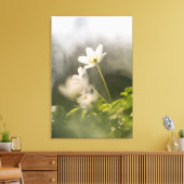 Toile Photo de la nature de l'anémone du bois (Insitu(Salon))