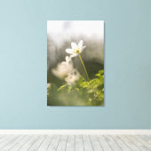 Toile Photo de la nature de l'anémone du bois (Insitu (Plancher de Bois))