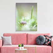 Toile Photo de la nature des champignons (Insitu(Salon))