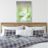 Toile Photo de la nature des champignons (Insitu(Chambre))