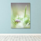 Toile Photo de la nature des champignons (Insitu (Plancher de Bois))