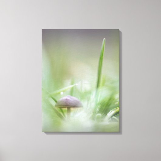 Toile Photo de la nature des champignons (Recto)