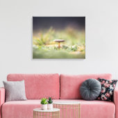 Toile Photo de la nature des champignons (Insitu(Salon))