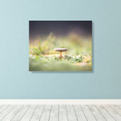 Toile Photo de la nature des champignons (Insitu (Plancher de Bois))